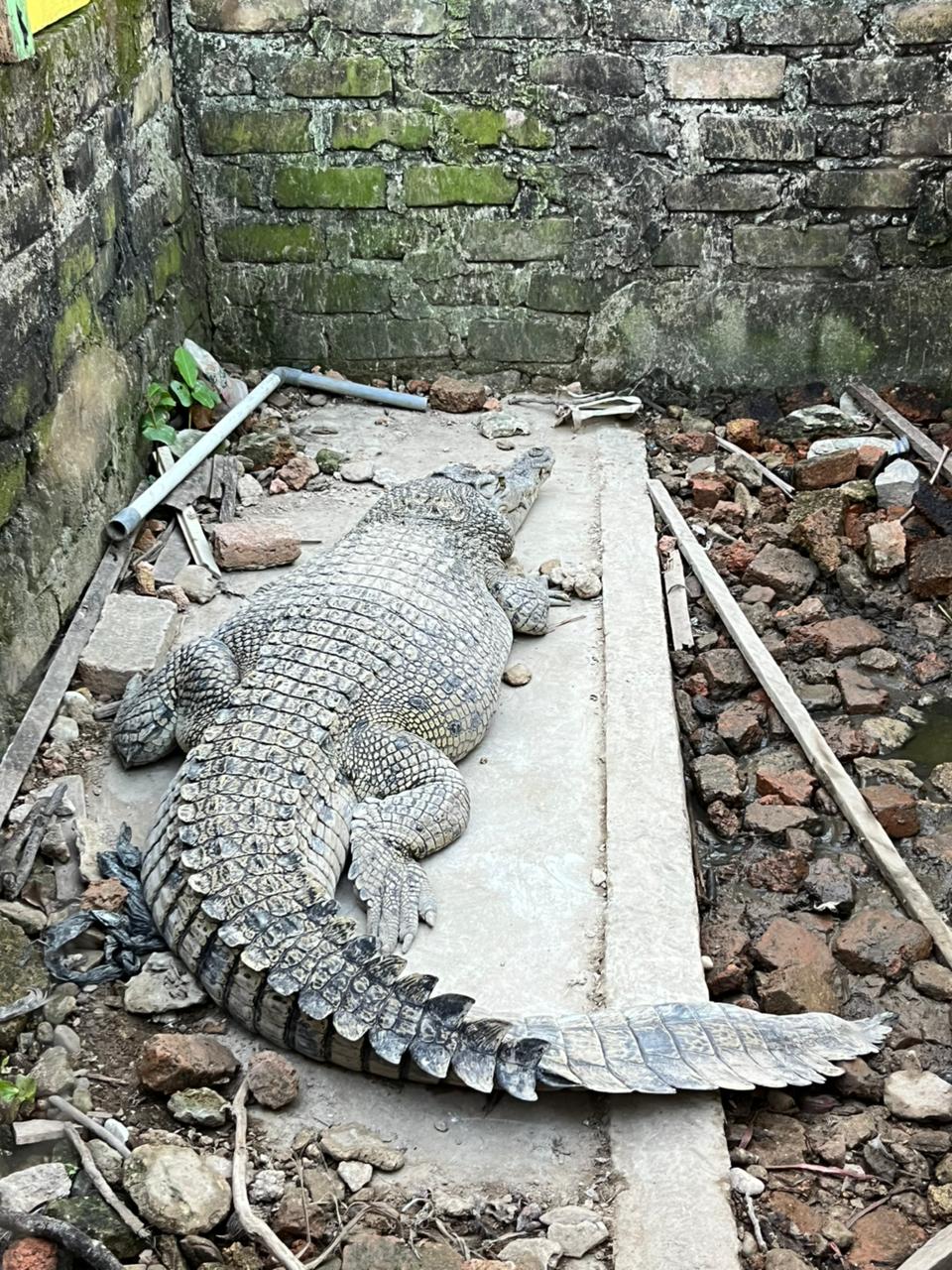 Galeri Taman Satwa Yamai Atid