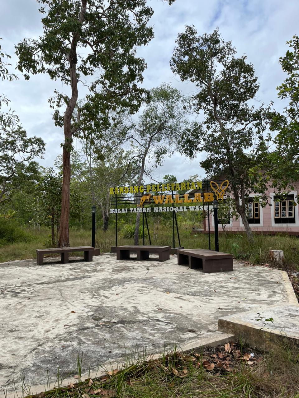 Galeri Taman Nasional Wasur