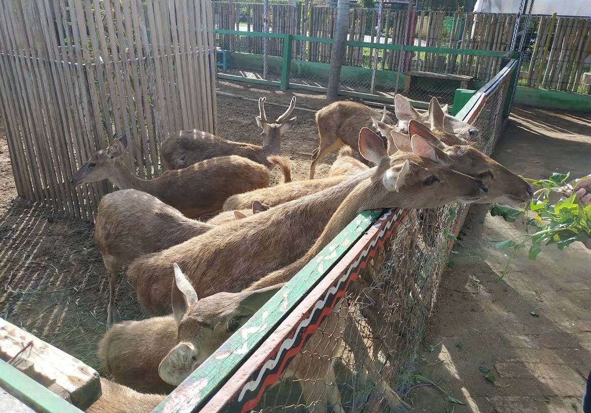 Taman Satwa Yamai Atid